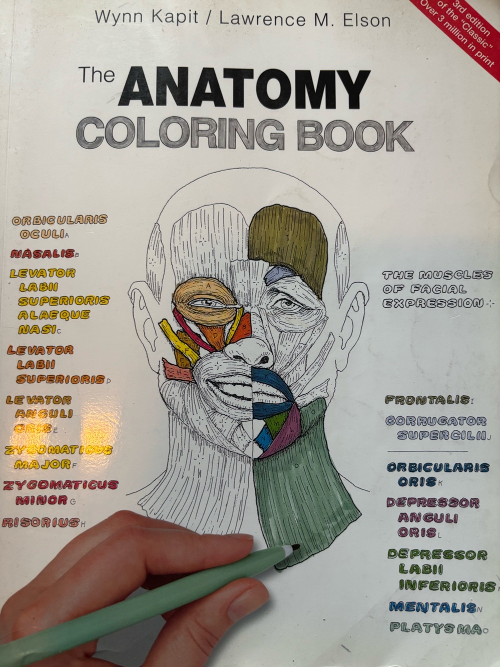 The Anatomy Coloring Book - Medical Illustration Art Print (Multicolor)